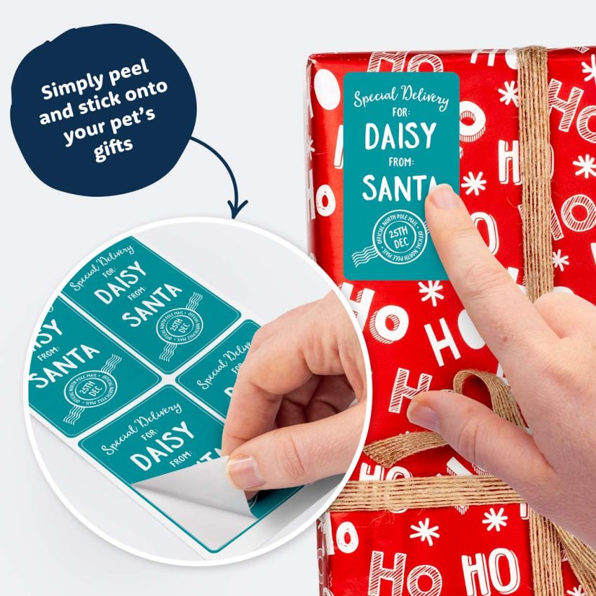 Santa Labels For Pets product preview image