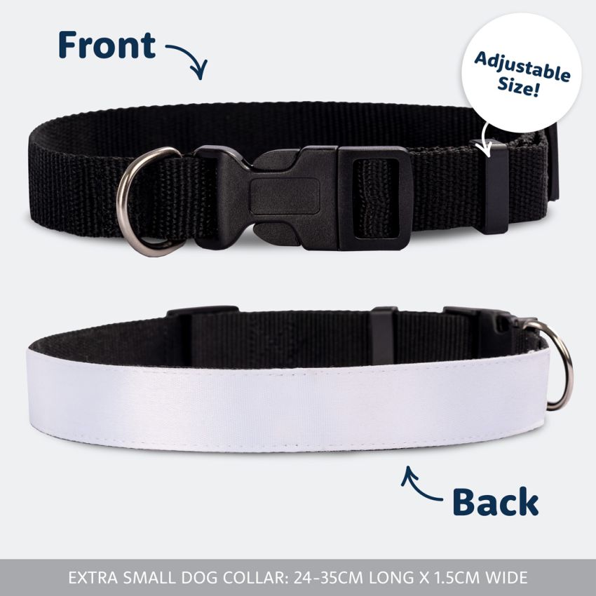 Patterned Dog Collars