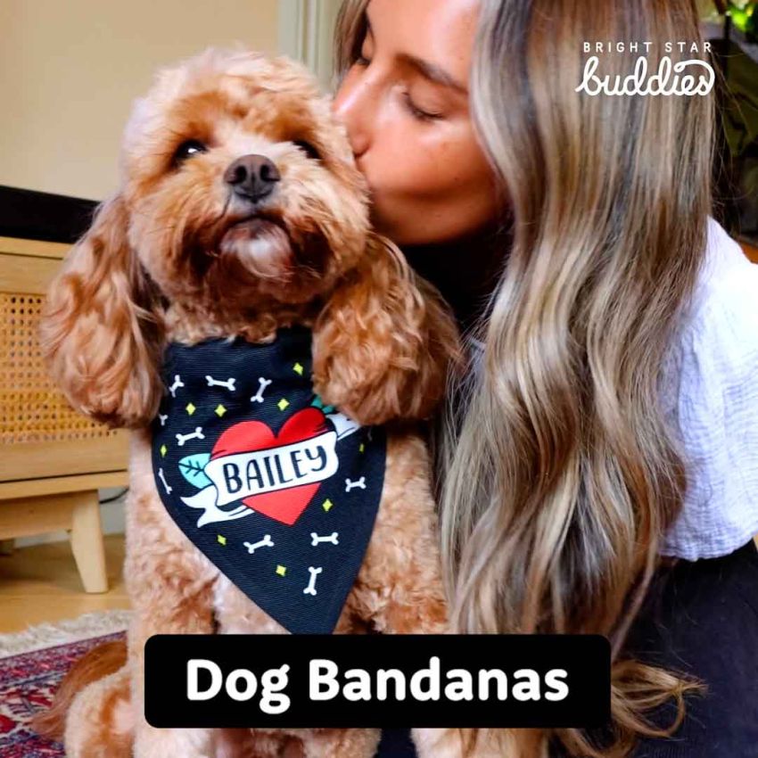 Dog Bandanas gallery image №2
