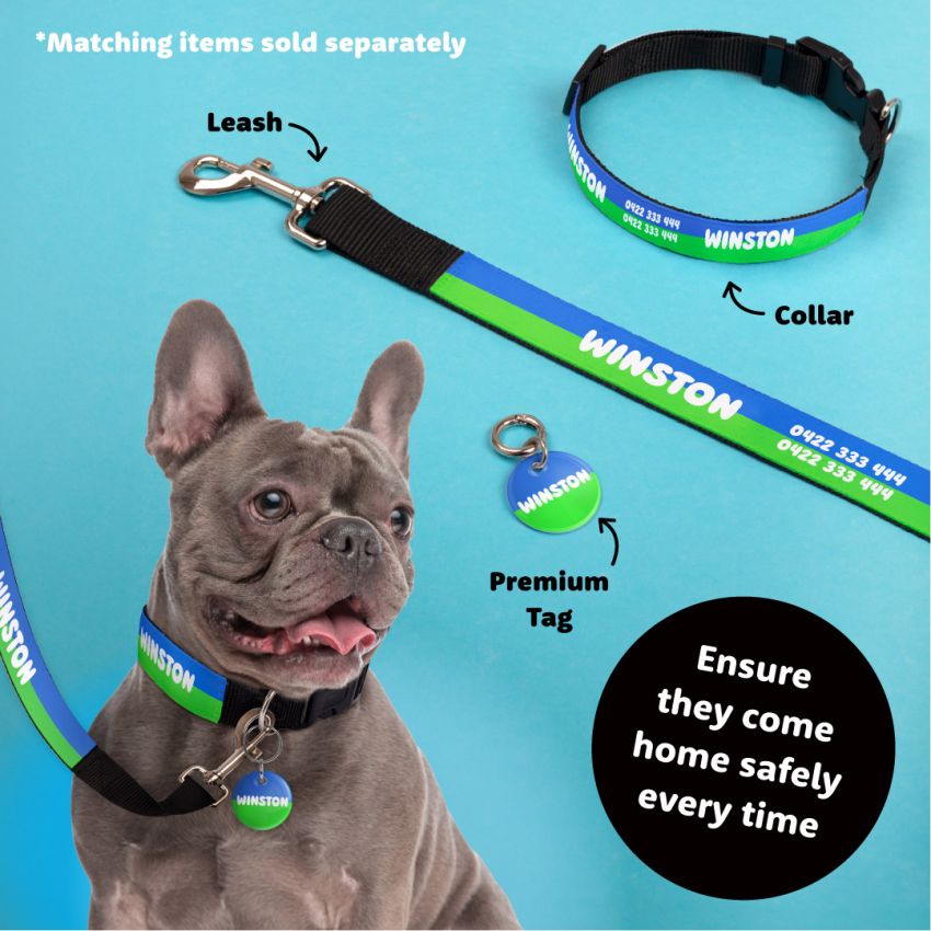 Personalised Leash product preview image