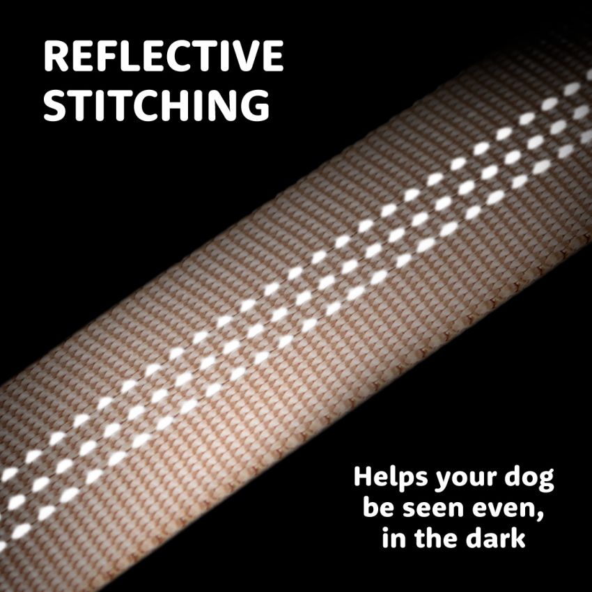 Reflective Leash gallery image №3