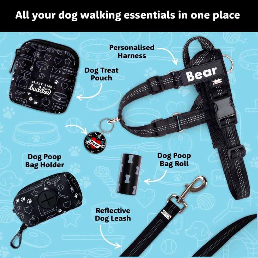 Reflective Leash gallery image №4