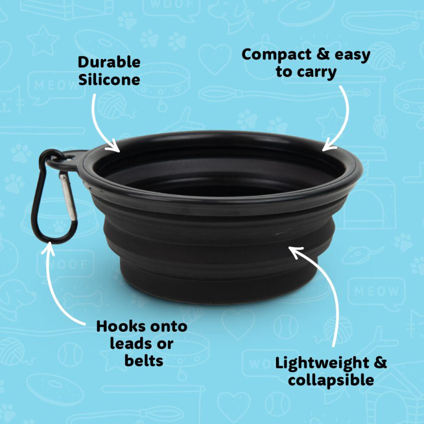 Travel Dog Bowl gallery image №1