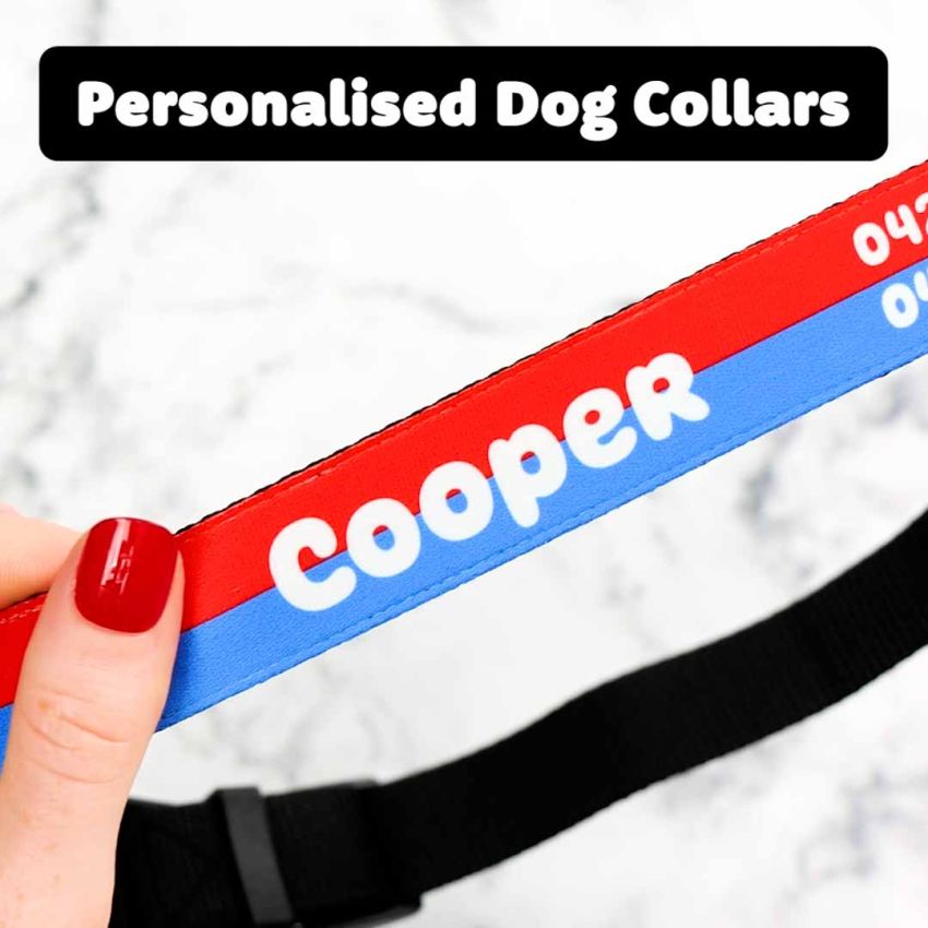 Personalised Dog Collars gallery image №4