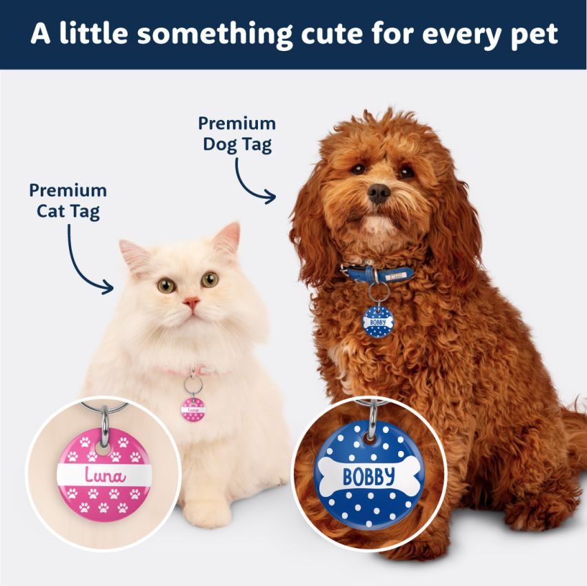 Premium Cat Tags product preview image