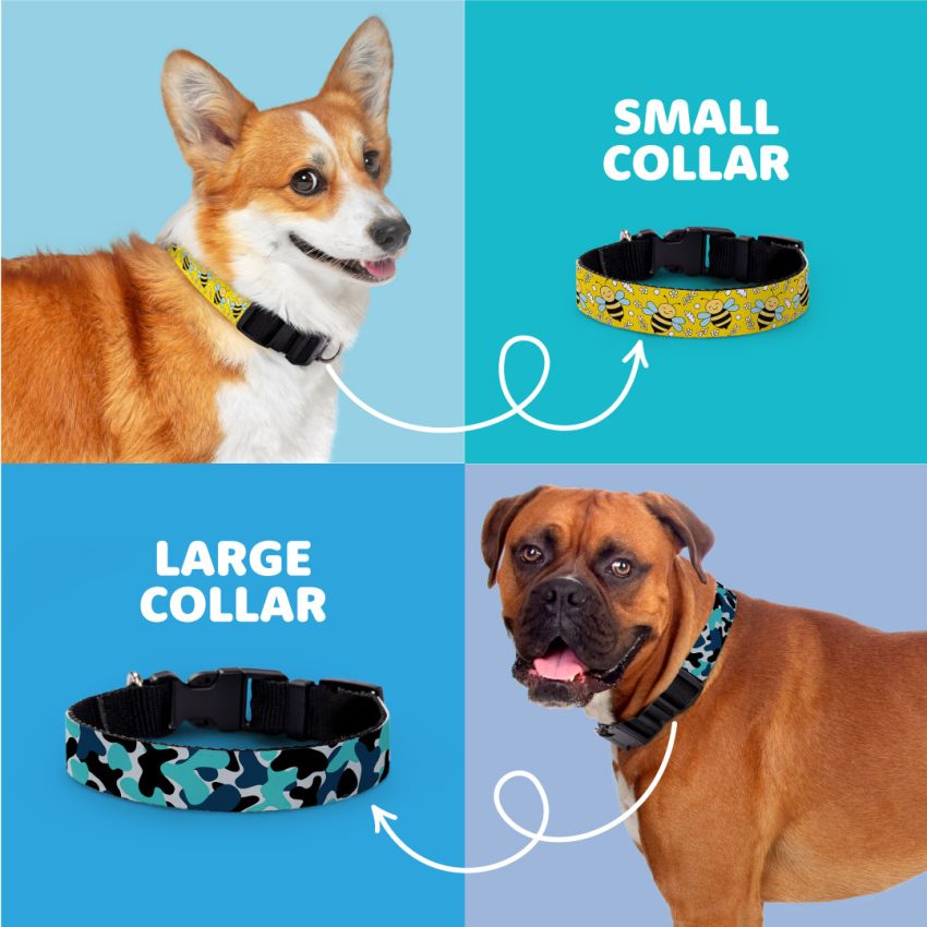 Patterned Dog Collars product preview image