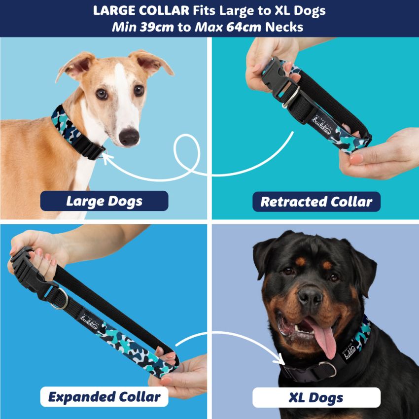 Patterned Dog Collars product preview image