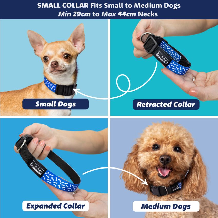 Patterned Dog Collars product preview image