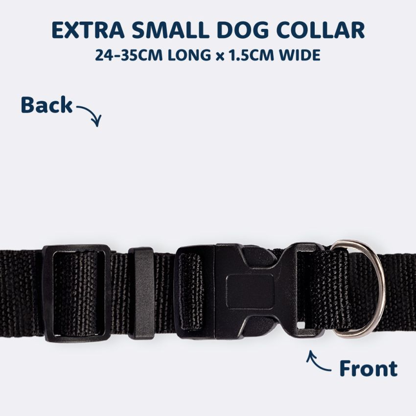 Personalised Dog Collars