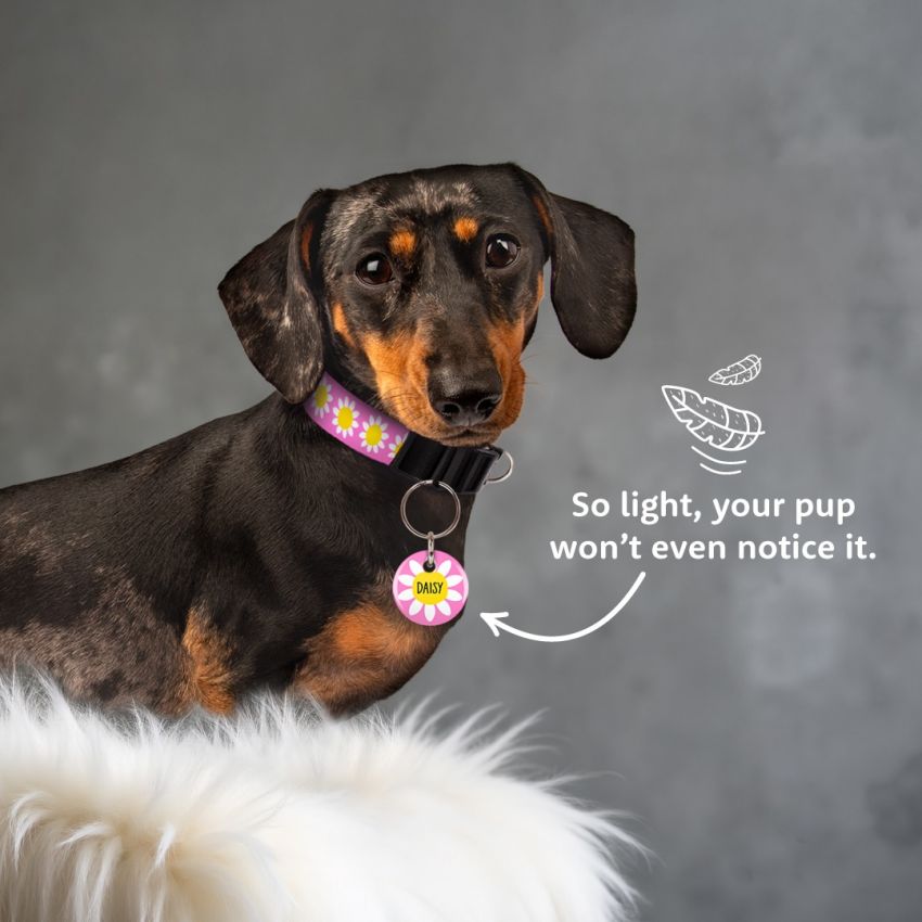 Premium Dog Tags gallery image №2