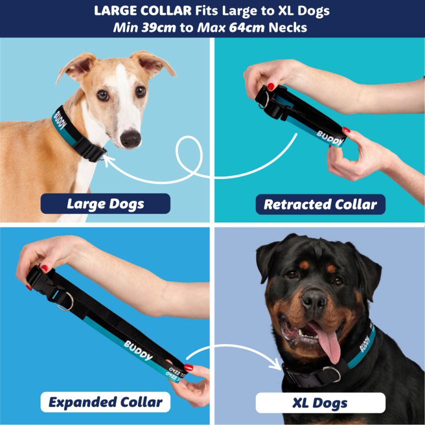 Personalised Dog Collars product preview image