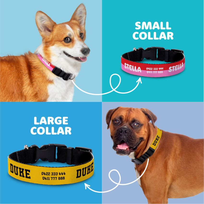 Personalised Dog Collars product preview image