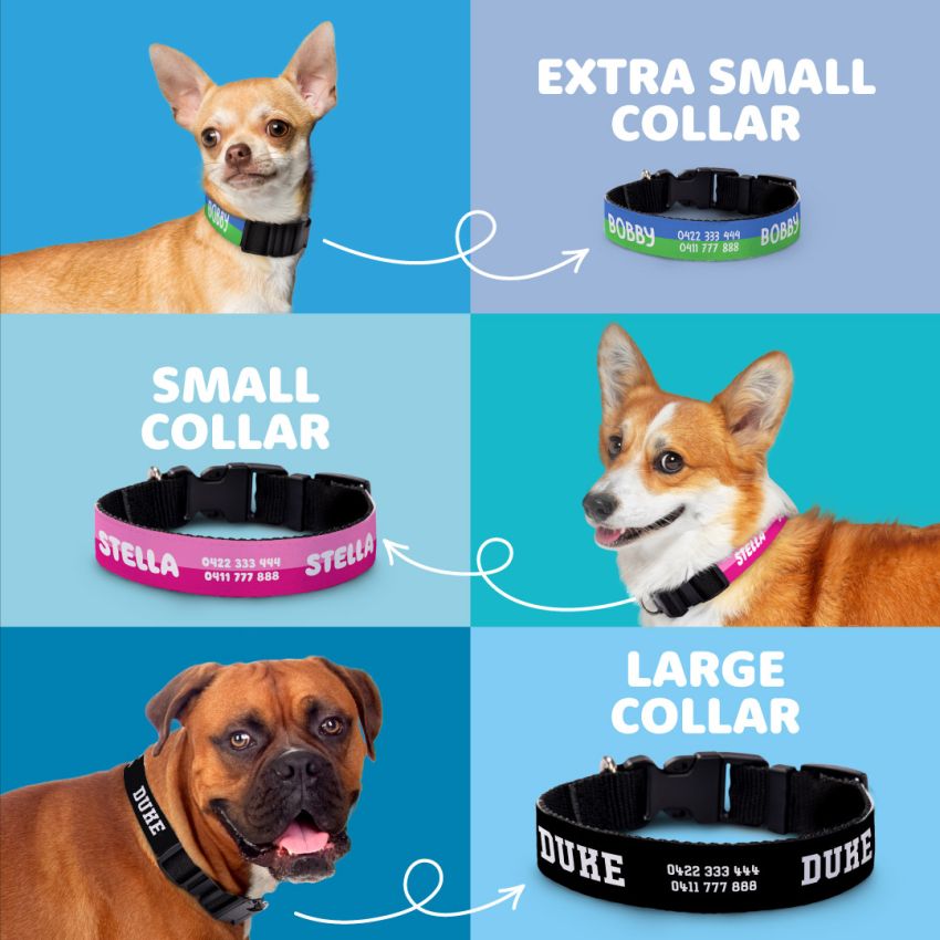 Personalised Dog Collars gallery image №4