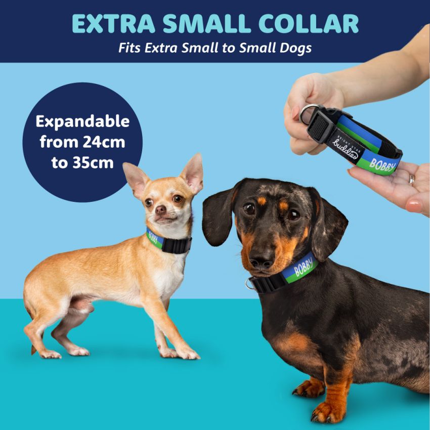 Patterned Dog Collars gallery image №4