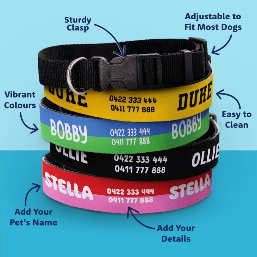 Personalised Dog Collars product preview image