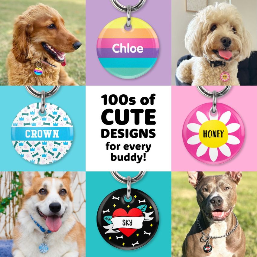 Pet Tags product preview image