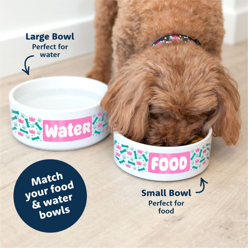 Premium Ceramic Dog Bowls product preview image