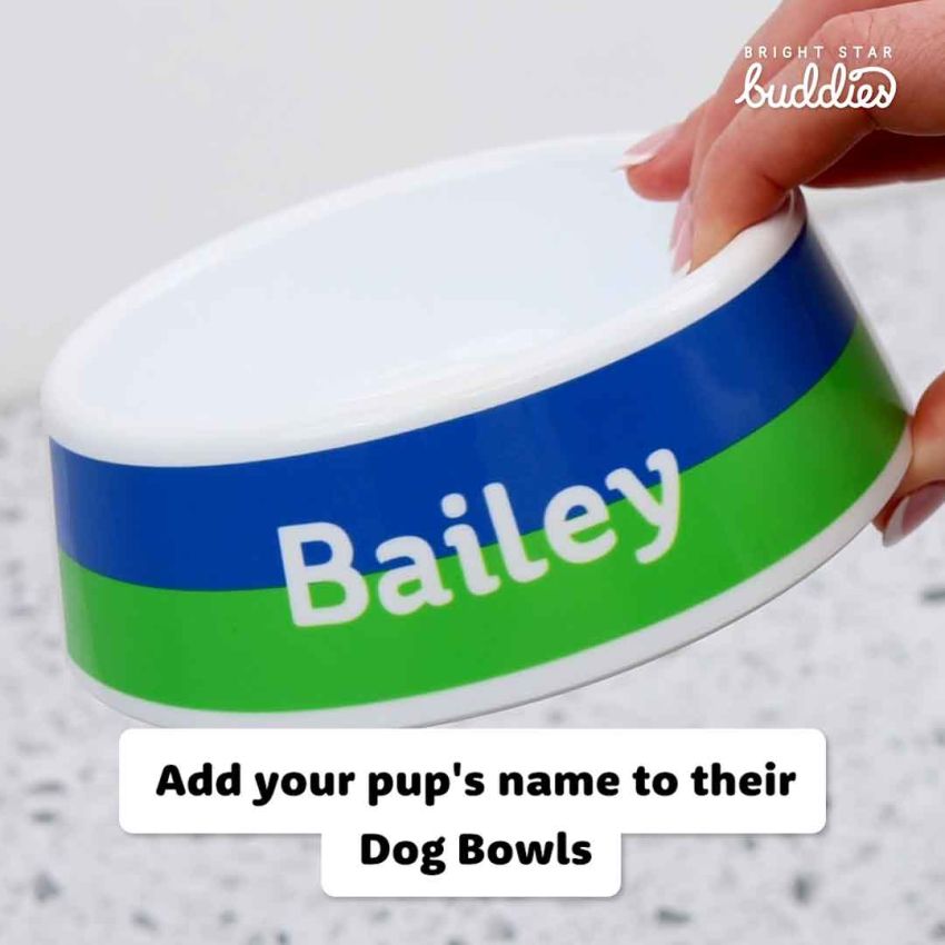 Dog Bowls gallery image №3