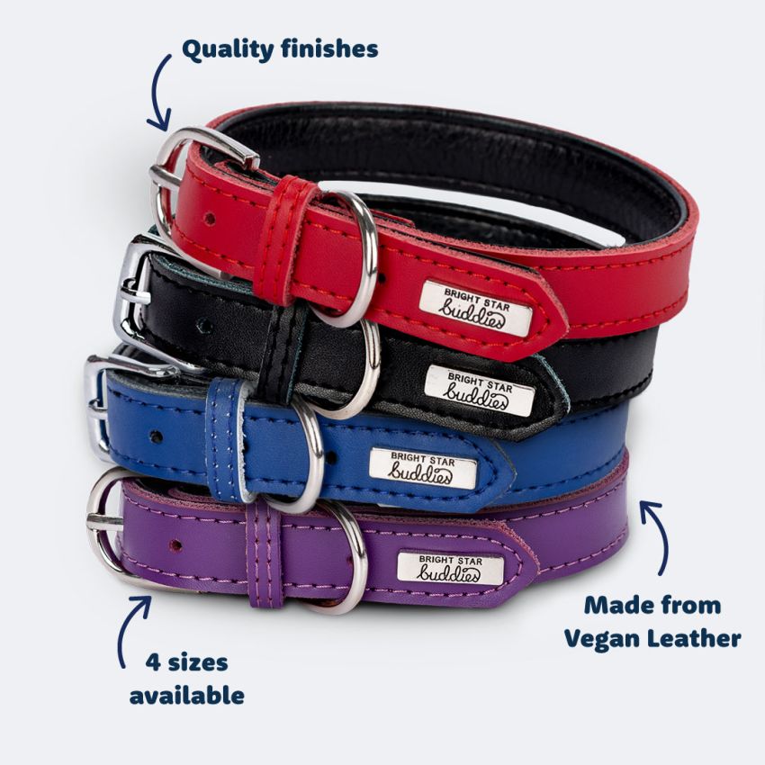 Dog Collars product preview image