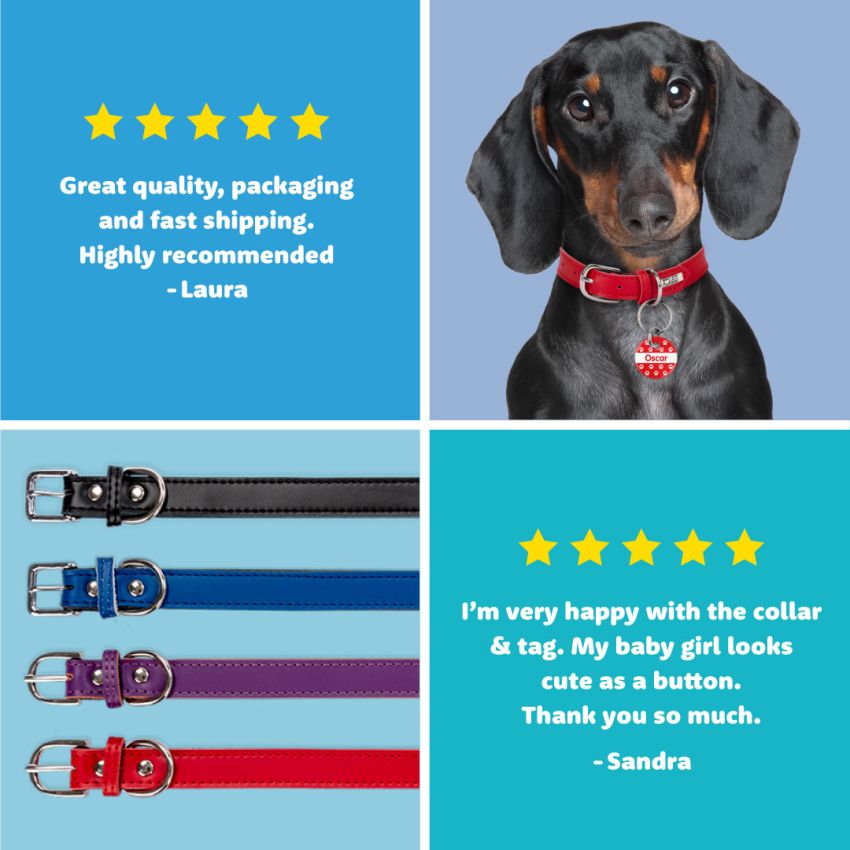 Dog Collars product preview image