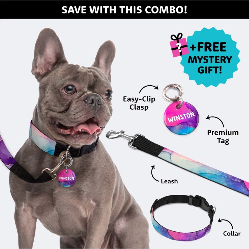 Dog Tag & Collar Set gallery image №1