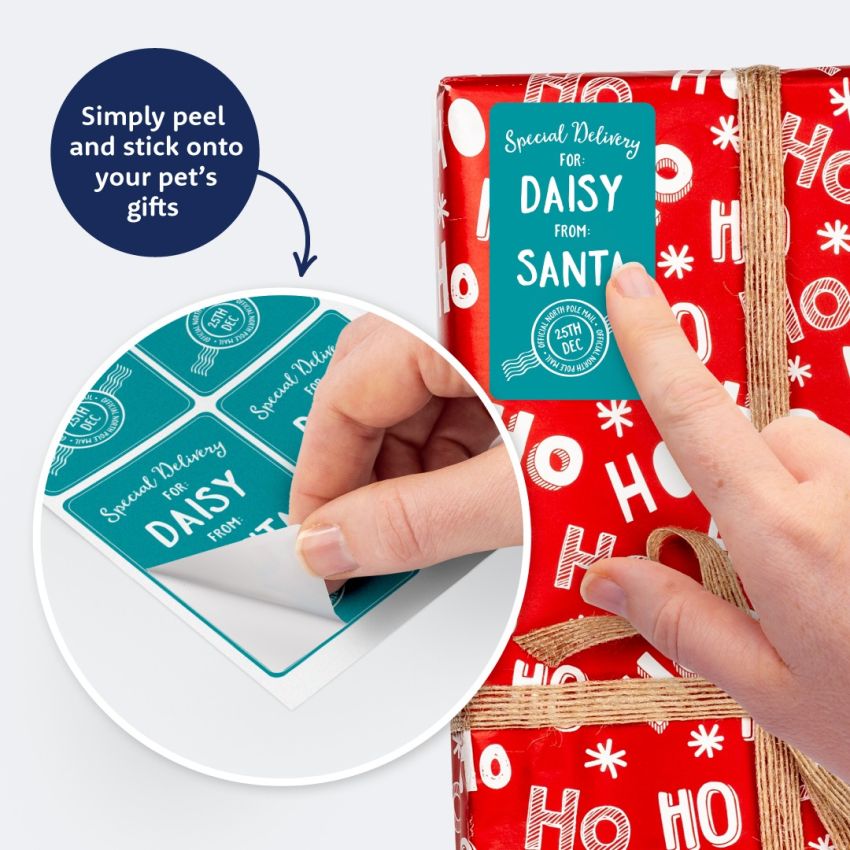 Santa Labels For Pets product preview image