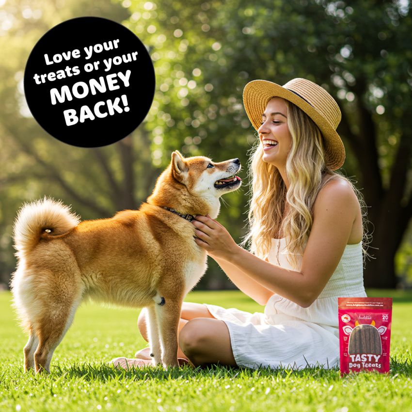 Dog Treat Bundle gallery image №4