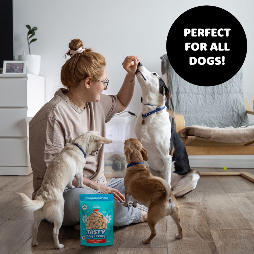 Chicken Nugget Treats product preview image