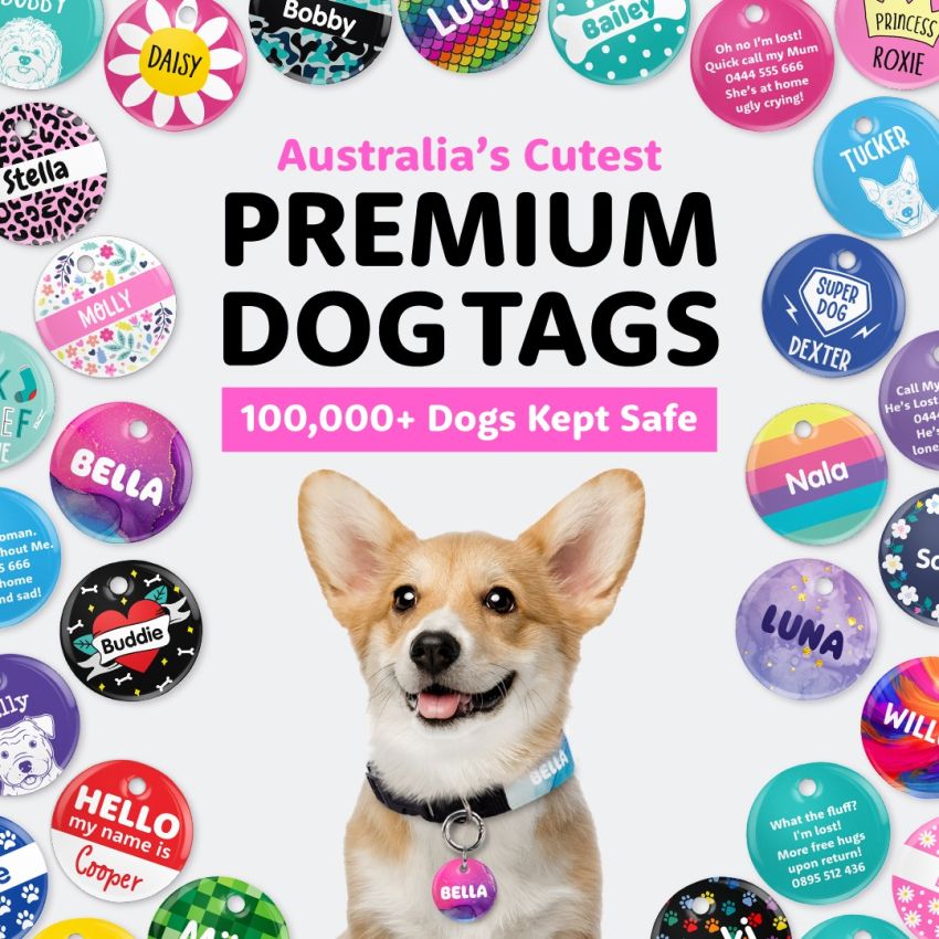Pet Tags gallery image №1