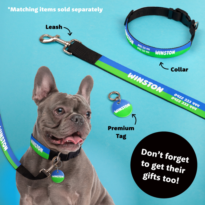 Santa Labels For Pets product preview image