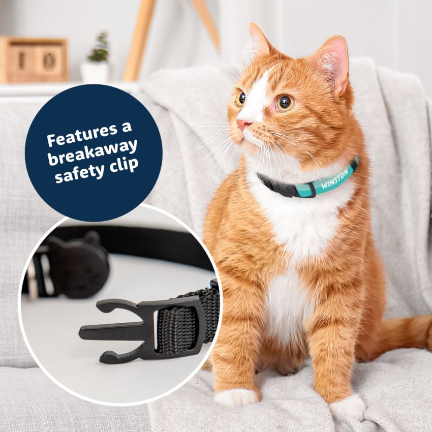 Personalised Cat Collar gallery image №1