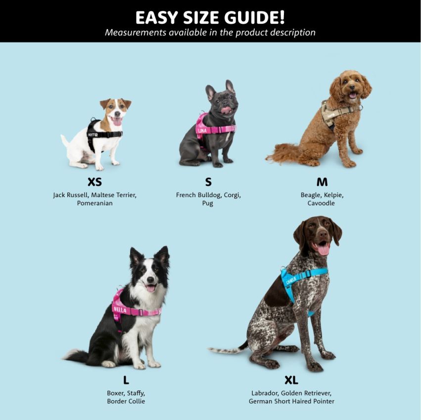 No Pull Dog Harness gallery image №2