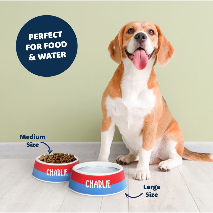 Dog Bowls gallery image №3