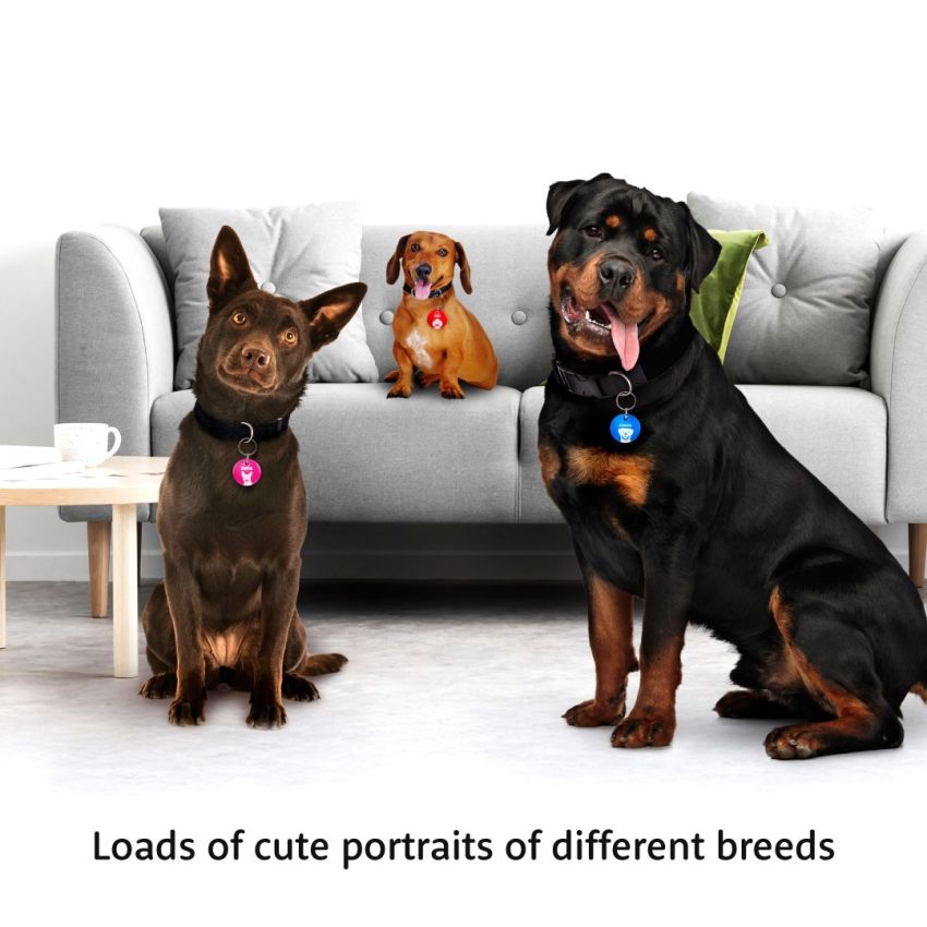 Premium Dog Portrait Tags product preview image