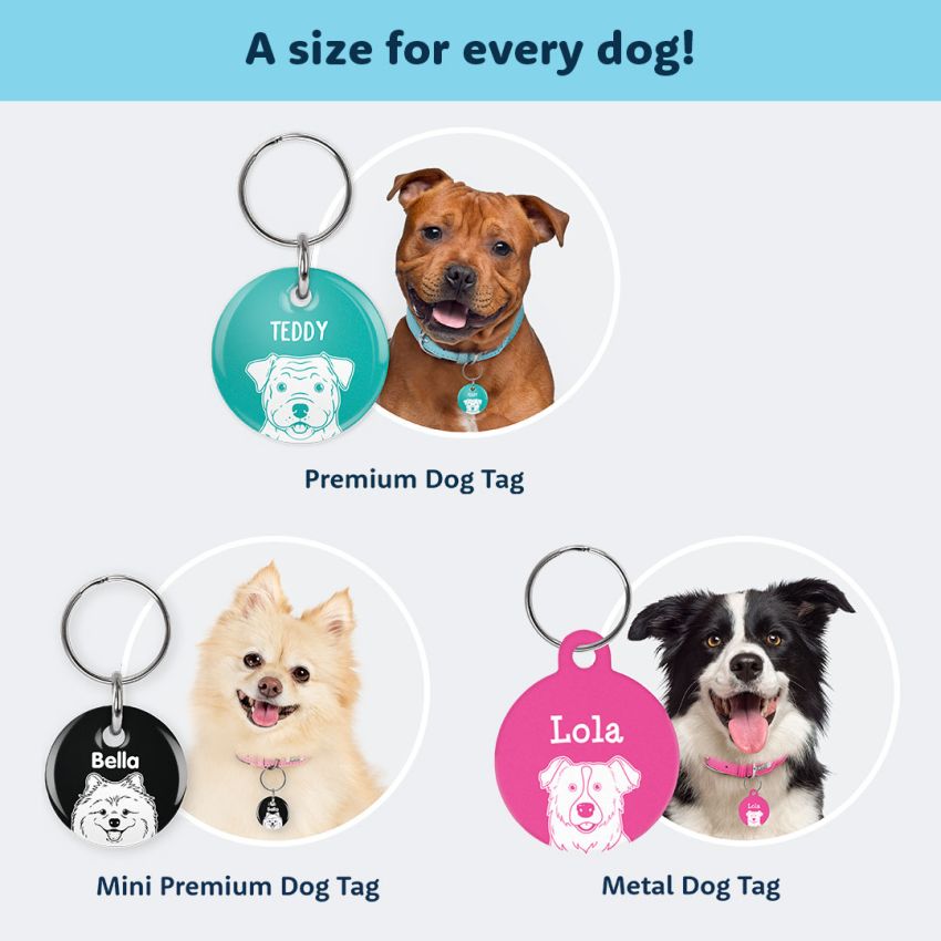 Premium Dog Portrait Tags product preview image