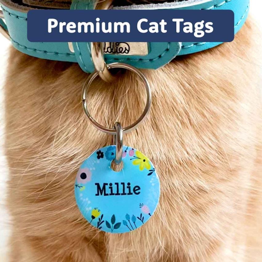 Premium Cat Tags gallery image №2