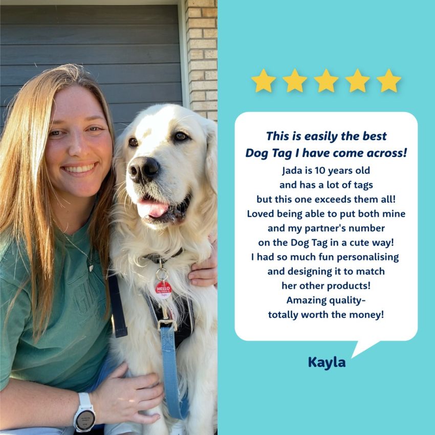 Pet Tags product preview image