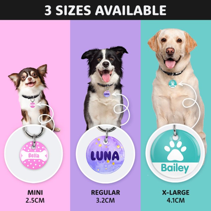 Premium Dog Tags product preview image