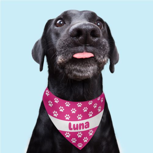 Dog Bandanas