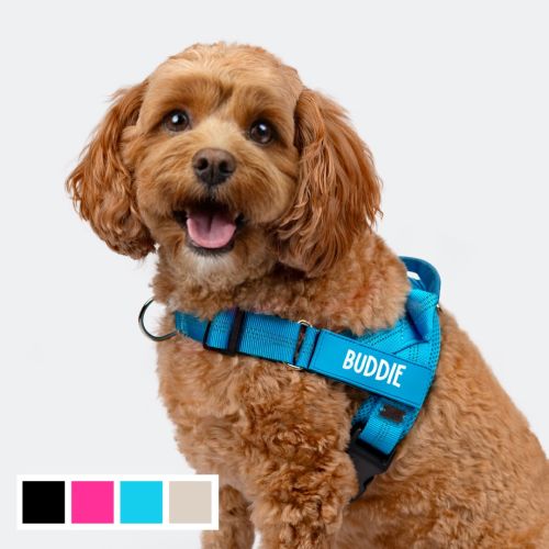 No Pull Dog Harness
